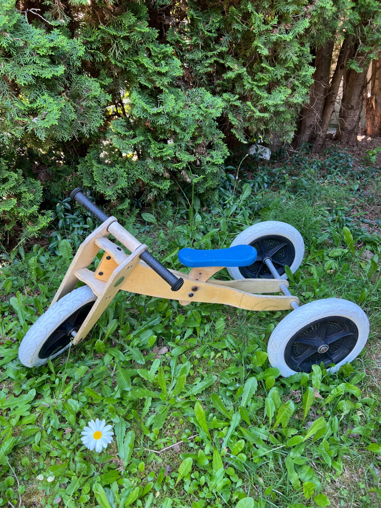 Wishbone Tricycle